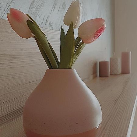 Sunray Apartman Požarevac Eksteriør bilde